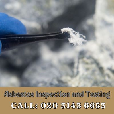 Comprehensive Asbestos Inspection and Testing Services in North Sheen